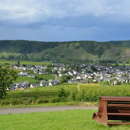 Weingut***pension Guenther Scholtes بيت ضيافة 3*